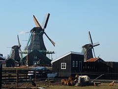 DutchCountrySide (563)